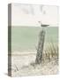 Seaside Perch-Arnie Fisk-Stretched Canvas