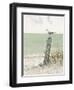 Seaside Perch-Arnie Fisk-Framed Art Print