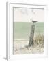 Seaside Perch-Arnie Fisk-Framed Art Print