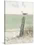Seaside Perch-Arnie Fisk-Stretched Canvas