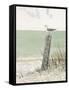 Seaside Perch-Arnie Fisk-Framed Stretched Canvas