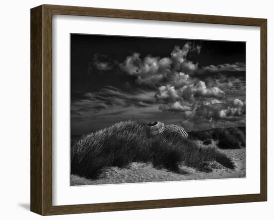 Seaside rendez-vous ...-Yvette Depaepe-Framed Photographic Print