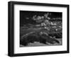 Seaside rendez-vous ...-Yvette Depaepe-Framed Photographic Print