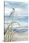 Seaside Rest I-Carol Robinson-Stretched Canvas