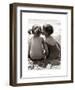 Seaside Romance-null-Framed Giclee Print