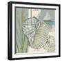 Seaside Shell I-Chariklia Zarris-Framed Art Print