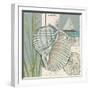 Seaside Shell I-Chariklia Zarris-Framed Art Print