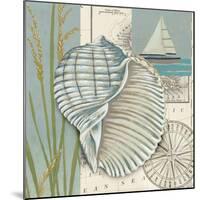 Seaside Shell I-Chariklia Zarris-Mounted Art Print