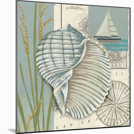 Seaside Shell I-Chariklia Zarris-Mounted Art Print