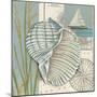 Seaside Shell I-Chariklia Zarris-Mounted Art Print