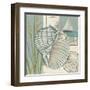 Seaside Shell I-Chariklia Zarris-Framed Art Print