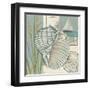 Seaside Shell I-Chariklia Zarris-Framed Art Print