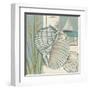 Seaside Shell I-Chariklia Zarris-Framed Art Print