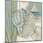 Seaside Shell I-Chariklia Zarris-Mounted Art Print