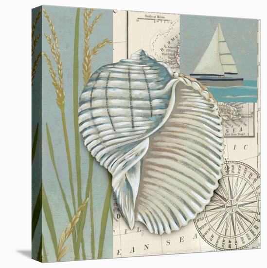 Seaside Shell I-Chariklia Zarris-Stretched Canvas