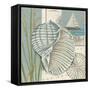 Seaside Shell I-Chariklia Zarris-Framed Stretched Canvas