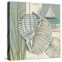 Seaside Shell I-Chariklia Zarris-Stretched Canvas