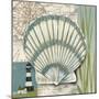 Seaside Shell II-Chariklia Zarris-Mounted Art Print