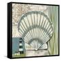 Seaside Shell II-Chariklia Zarris-Framed Stretched Canvas