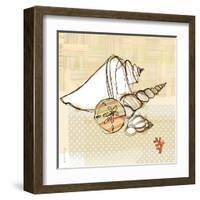 Seaside Shells in Group-Robbin Rawlings-Framed Art Print