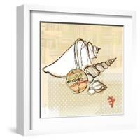 Seaside Shells in Group-Robbin Rawlings-Framed Art Print