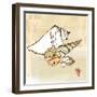 Seaside Shells in Group-Robbin Rawlings-Framed Art Print