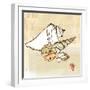 Seaside Shells in Group-Robbin Rawlings-Framed Art Print