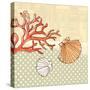 Seaside Shells-Robbin Rawlings-Stretched Canvas