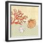 Seaside Shells-Robbin Rawlings-Framed Art Print