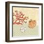 Seaside Shells-Robbin Rawlings-Framed Art Print