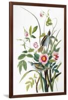 Seaside Sparrow, 1858-John James Audubon-Framed Giclee Print