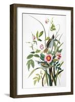 Seaside Sparrow, 1858-John James Audubon-Framed Premium Giclee Print