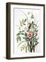 Seaside Sparrow, 1858-John James Audubon-Framed Premium Giclee Print