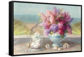 Seaside Spring Crop-Danhui Nai-Framed Stretched Canvas