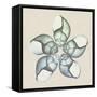 Seaside Star 2-Albert Koetsier-Framed Stretched Canvas