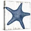 Seaside Starfish-Sparx Studio-Stretched Canvas