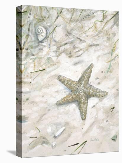 Seaside Starfish-Arnie Fisk-Stretched Canvas