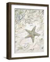 Seaside Starfish-Arnie Fisk-Framed Art Print