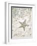 Seaside Starfish-Arnie Fisk-Framed Art Print