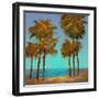 Seaside Sunset-Michael Tienhaara-Framed Art Print