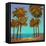 Seaside Sunset-Michael Tienhaara-Framed Stretched Canvas