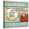 Seaside Treasures-Karen J^ Williams-Stretched Canvas