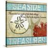 Seaside Treasures-Karen J^ Williams-Stretched Canvas