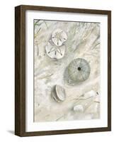 Seaside Urchin-Arnie Fisk-Framed Art Print