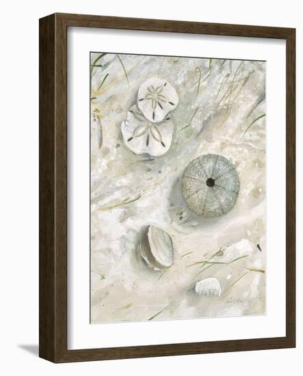 Seaside Urchin-Arnie Fisk-Framed Art Print