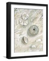 Seaside Urchin-Arnie Fisk-Framed Art Print