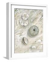 Seaside Urchin-Arnie Fisk-Framed Art Print