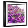 Seaside Village in Liguria-Tosh-Framed Art Print