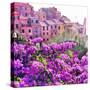 Seaside Village in Liguria-Tosh-Stretched Canvas