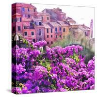 Seaside Village in Liguria-Tosh-Stretched Canvas